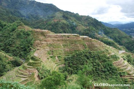 Postcard Banaue rice terraces