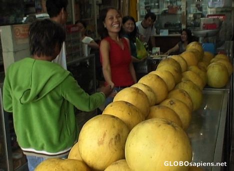 Postcard Pomelos...