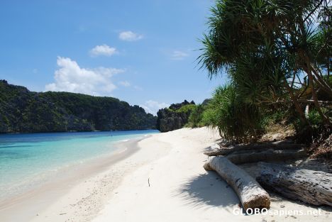 Postcard The beach