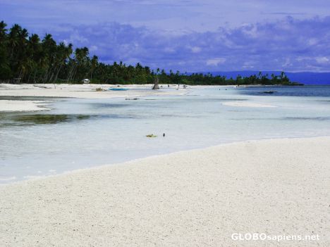 Postcard Robinson Feeling