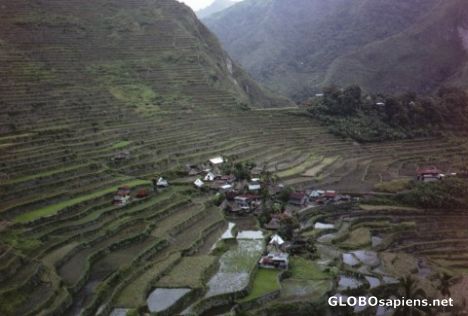 Postcard More Batad rice terraces