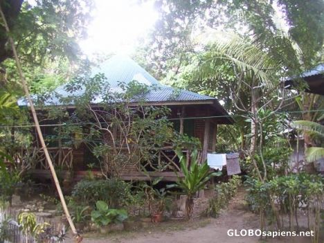 Postcard Boquete Bungalow Park