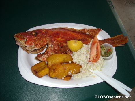 Postcard Red Snapper dinner