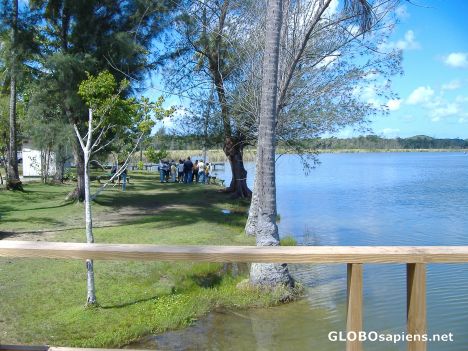 Postcard Lake Vega Baja