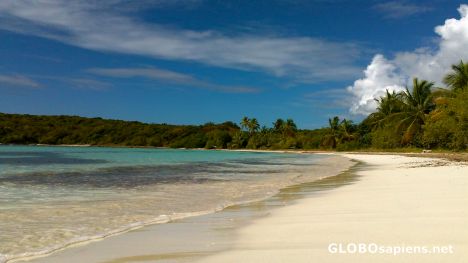 Postcard Media Luna Beach - Vieques