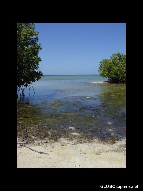 Postcard Laguna de Salinas