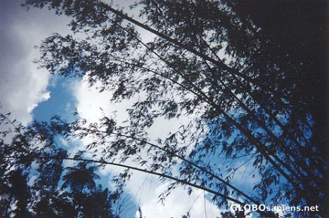 Postcard Blue skies in Puerto Rico