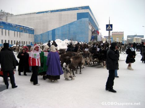 Postcard Ready for the reindeers race