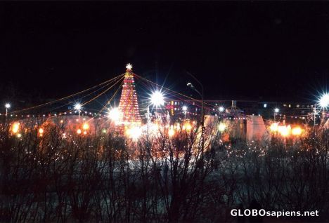 Postcard Festivity in the Arctic