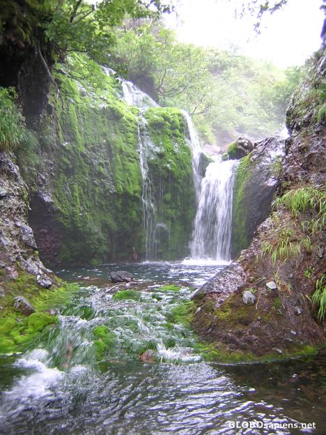 Luxuriant nature in Urup island