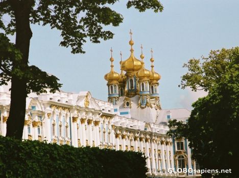 Postcard The Catherine Palace