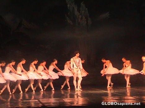 Postcard Swan Lake Ballet