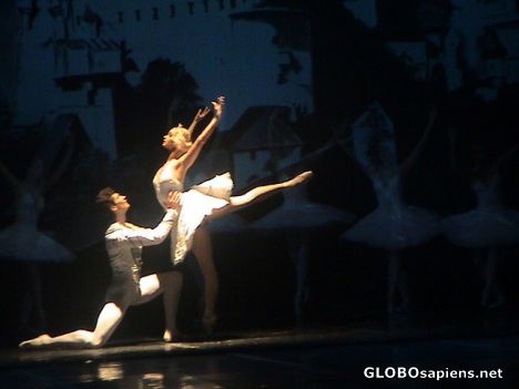 Postcard Swan Lake