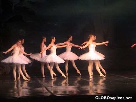 Postcard Swan lake Ballet
