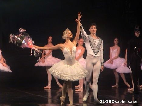 Postcard Swan Lake Ballet