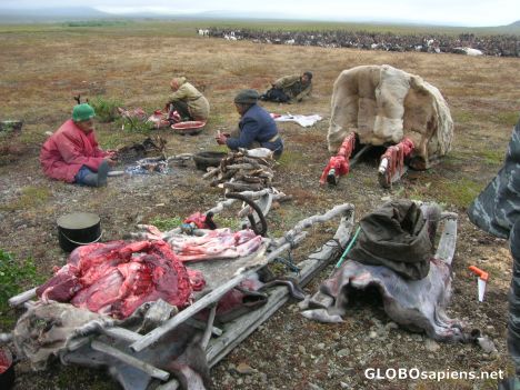 Postcard Among the Chukchi