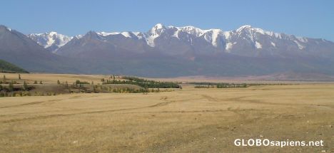 Postcard Altai steppe