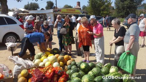 Postcard Watermelons on sale