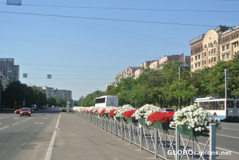 Postcard Saint Petersburg - Vasilyevsky Island 2