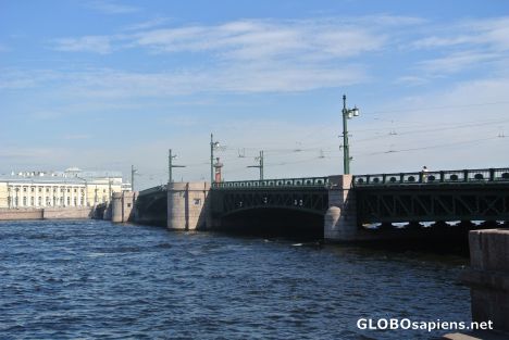 Postcard St. Petersburg - Palace Bridge