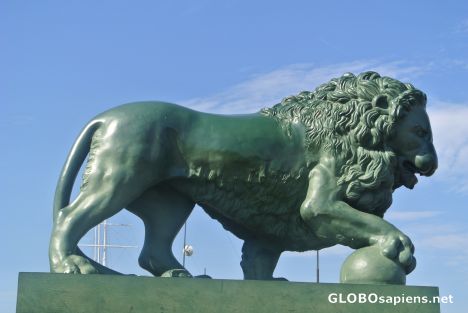 Postcard Saint Petersburg - Lion