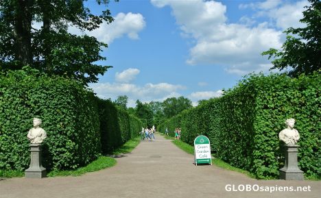 Postcard Tsarskoye Selo - Catherine Park