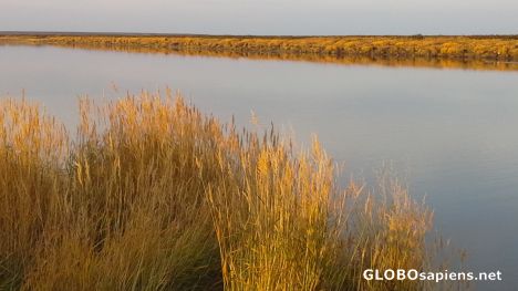 Postcard Autumn tundra