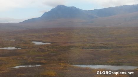 Postcard Tundra from the train