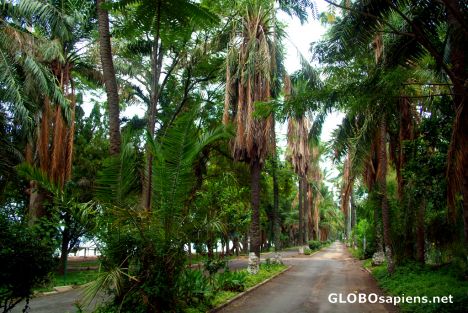 Postcard Gisenyi - the lake front avenue