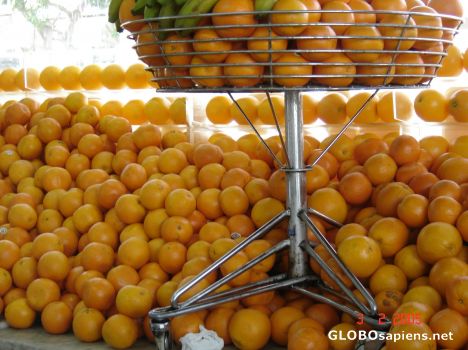 Postcard oranges