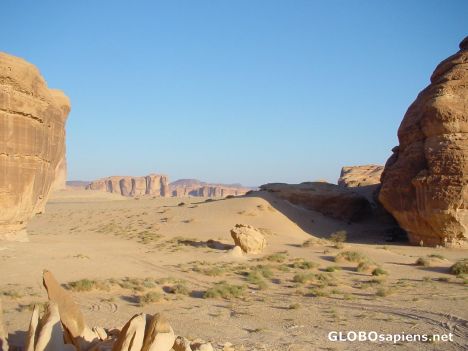 Postcard desert