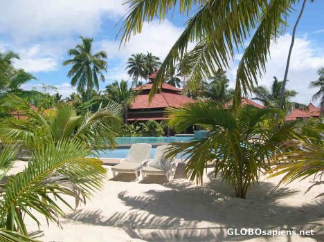 Postcard Seychelles