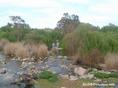 Vaal River - Parys - OVS - South Africa