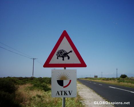 Postcard Dwars Kersbos - West Coast - South Africa