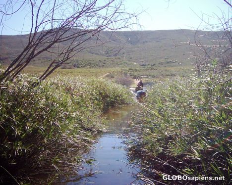Postcard Redelinghuys  - Sandveld - Western Cape
