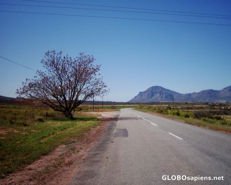 Postcard Het Kruis - Sand Veld - South Africa