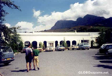 Postcard Winefarm Guest Centre