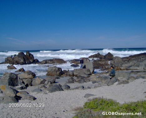 Postcard langebaan