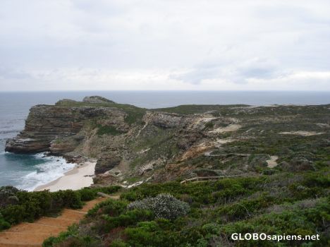 Postcard The cape of good hope
