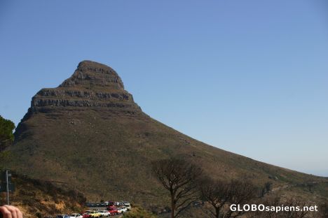 Postcard Lions Head