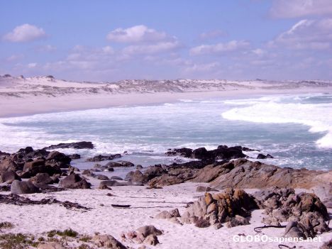 Postcard Wild coast at Tsaarsbank