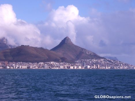 Postcard Lion's Head and Lion's Rump