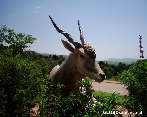 Postcard Catrhedral Peak - KZN - South Africa