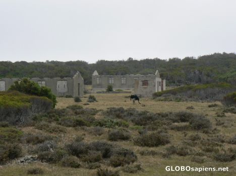 Postcard The baracks