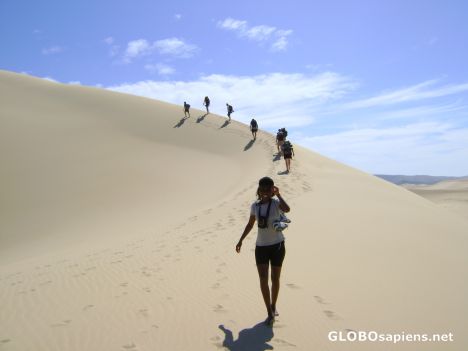 Postcard Addo Game Reserve Eastern Cape South Africa