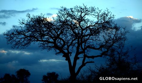 Postcard Blue sky