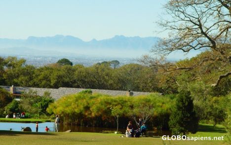 Postcard Kirstenbosch National Botanical Gardens