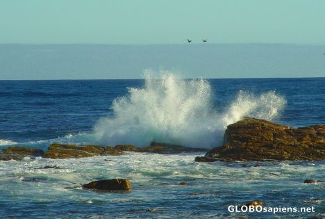 Postcard Huge waves in Cape Point