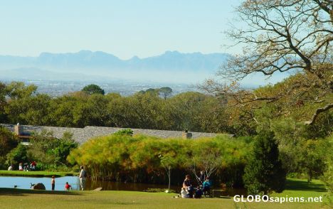 Postcard Kirstenbosch National Botanical Gardens