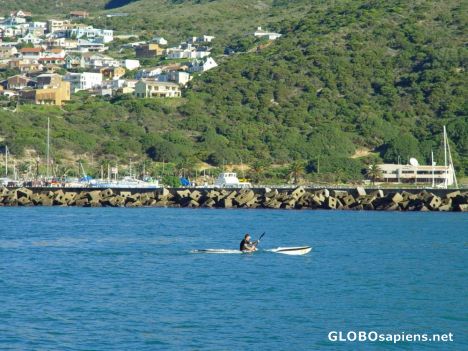 Postcard Chapman's Peak